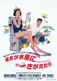 ��������Ӿ��