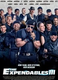 ������3��ͨ����