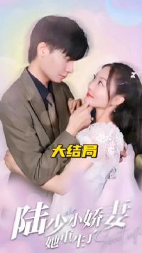 ½�ٵ�С������������