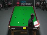 ˹ŵʸ9664  ˹̹µ10-3϶ڶ׶Σ 20250411