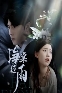 ���ľ���